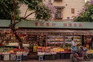 海角网页版终极指南V5.290个关键点精彩不断
